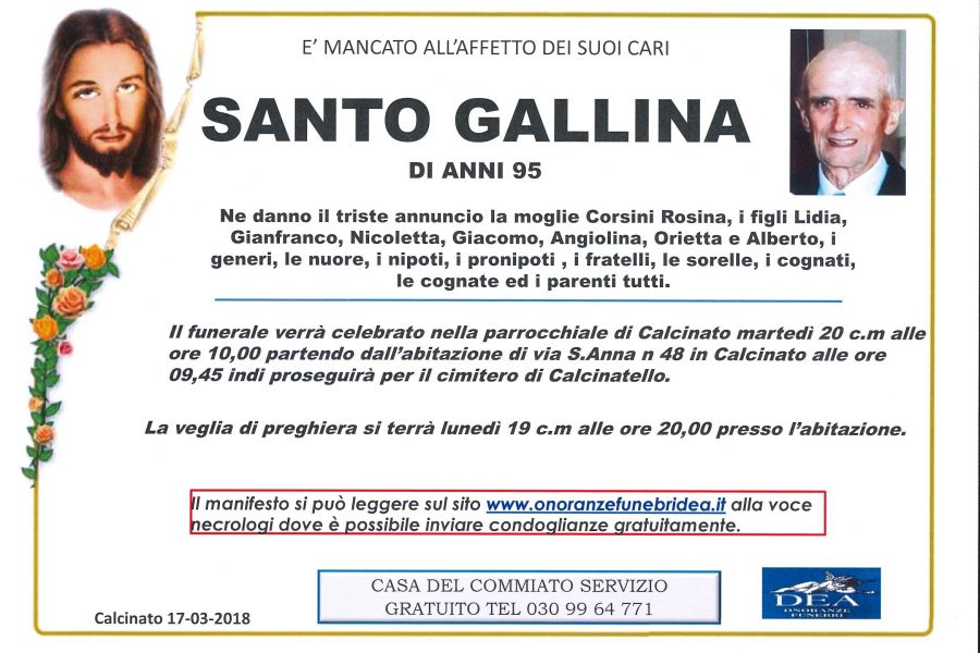 santo gallina